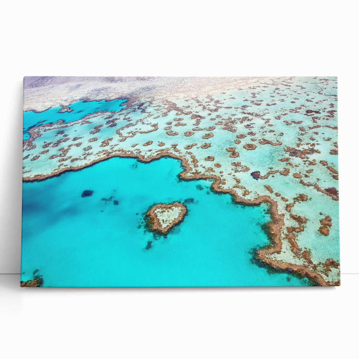 Black and white stretched canvas of the Great Barrier Reef, ideal for kitchen wall art.