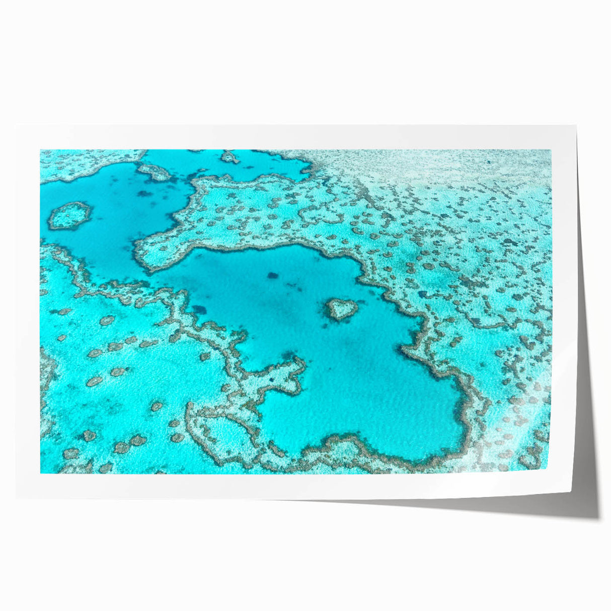 Extra large rolled print of Queensland scenery, featuring lush florals in vibrant greens and blues.