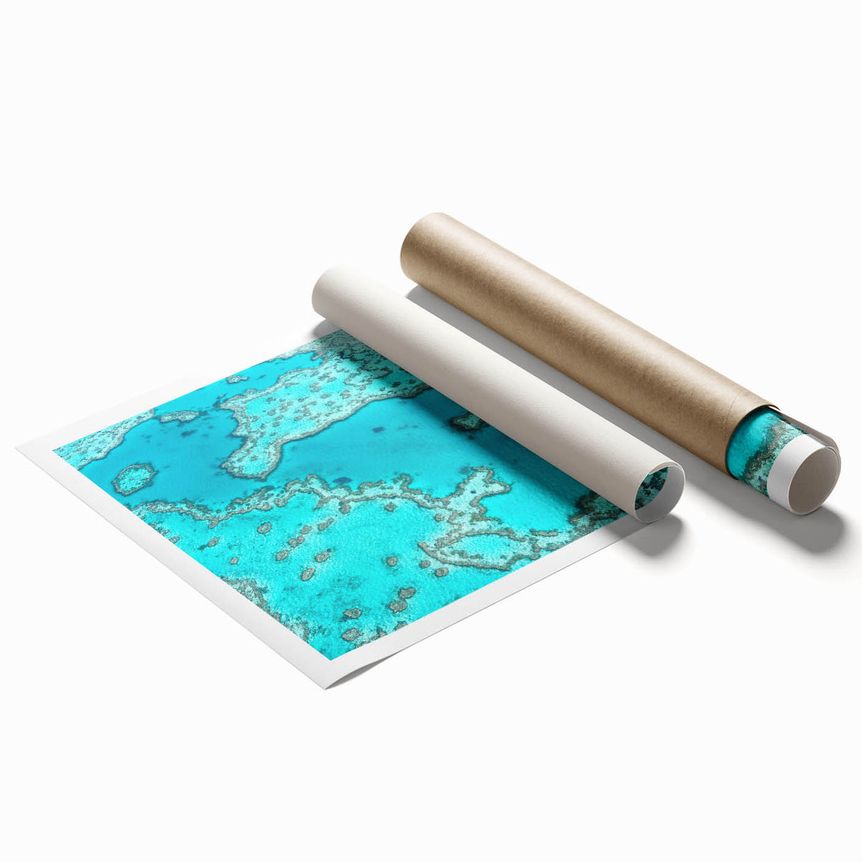 Extra large rolled print of a Queensland, Australia scenery with vibrant floral elements.