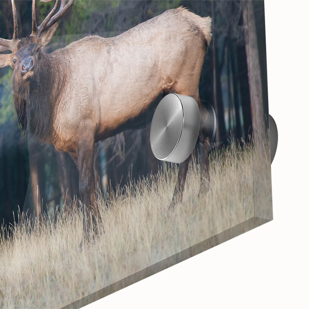 Large abstract wall art depicting Alberta, Canada scenery in mid-century modernist style on acrylic glass.