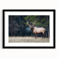 Extra large abstract art print of colorful Alberta scenery on textured canvas, framed in black, ideal for living room decor.