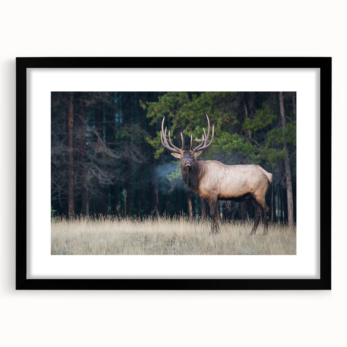 Extra large abstract art print of colorful Alberta scenery on textured canvas, framed in black, ideal for living room decor.