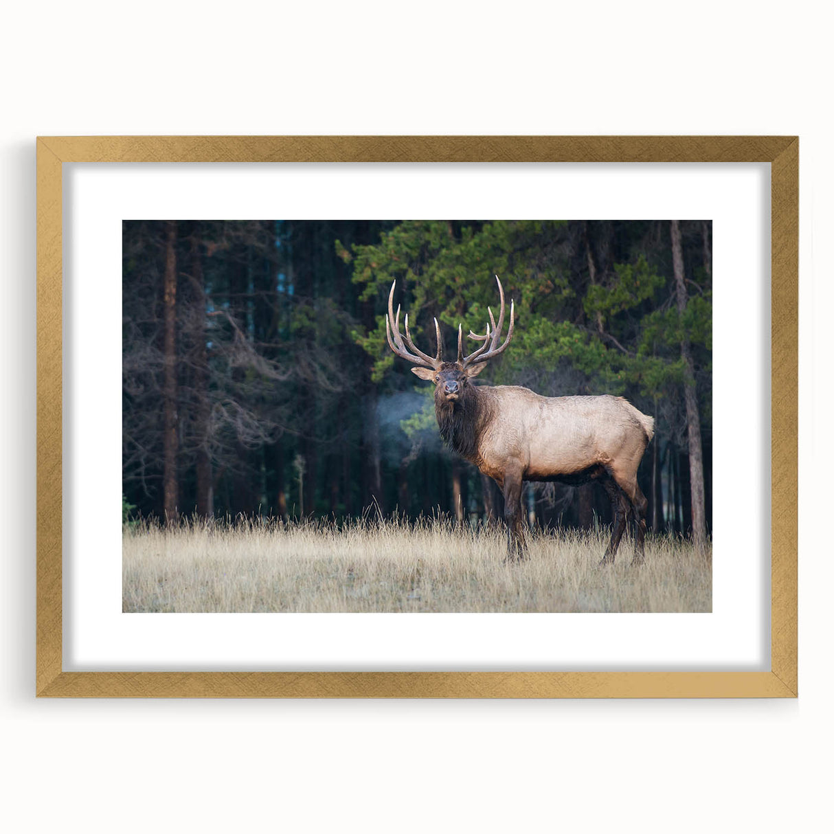 Extra large abstract art print depicting Alberta's scenery in textured hues of blue and green, framed in gold.