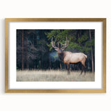 Extra large abstract art print depicting Alberta's scenery in textured hues of blue and green, framed in gold.