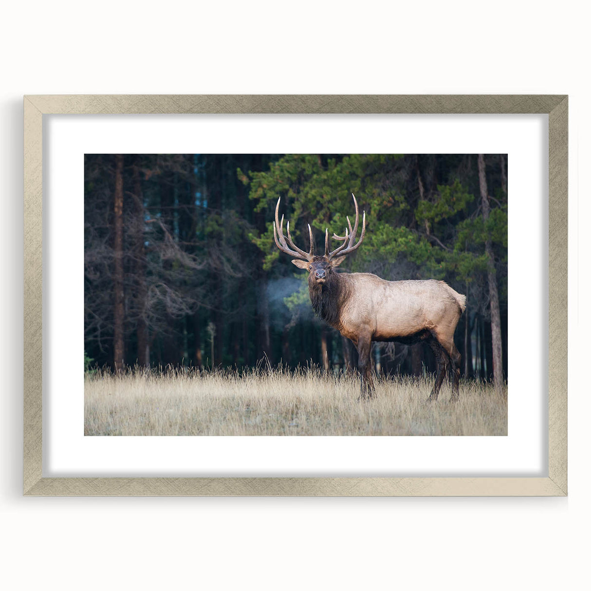 Textured abstract art print of Alberta scenery in muted earth tones, framed in silver, ideal for bedroom art.