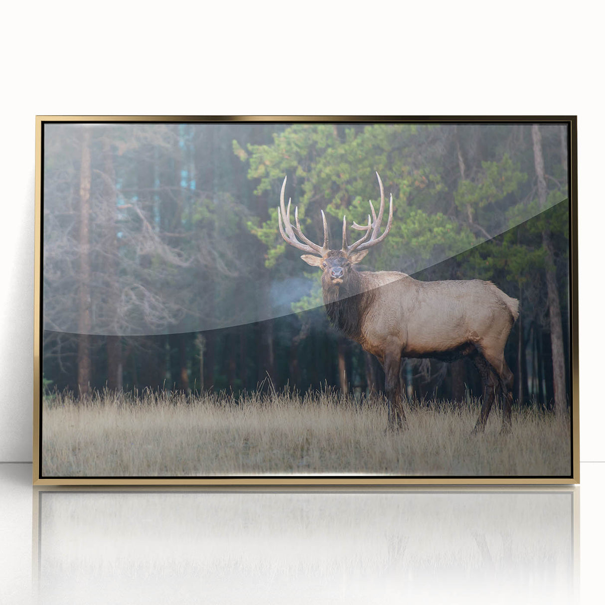 Framed acrylic print of Alberta, Canada scenery with vibrant green and blue tones, ideal for modern art wall decor.