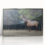 Mid-century modernist style acrylic print of Alberta, Canada scenery in silver frame, ideal for nursery wall art.