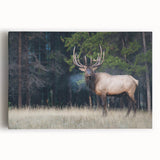 Black and white photo of Alberta scenery on a large stretched canvas, ideal for kitchen wall art.