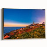 Framed canvas depicting a Newfoundland landscape in muted earth tones, ideal for bedroom wall art.