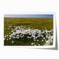 Scenic depiction of Northwest Territories on a rolled print, featuring serene blue and green tones.