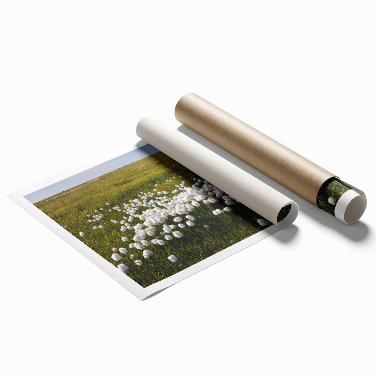 Extra large rolled print of a Northwest Territories landscape in muted earth tones, ideal for classy bathroom wall art.