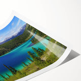 Extra large wall art featuring line art flowers in earthy tones on a rolled print, suitable for large living room decor.