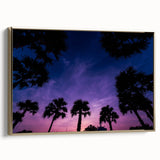 Framed canvas featuring a vintage-style landscape of Puerto Rican scenery, in muted earth tones, ideal for bedroom wall art.