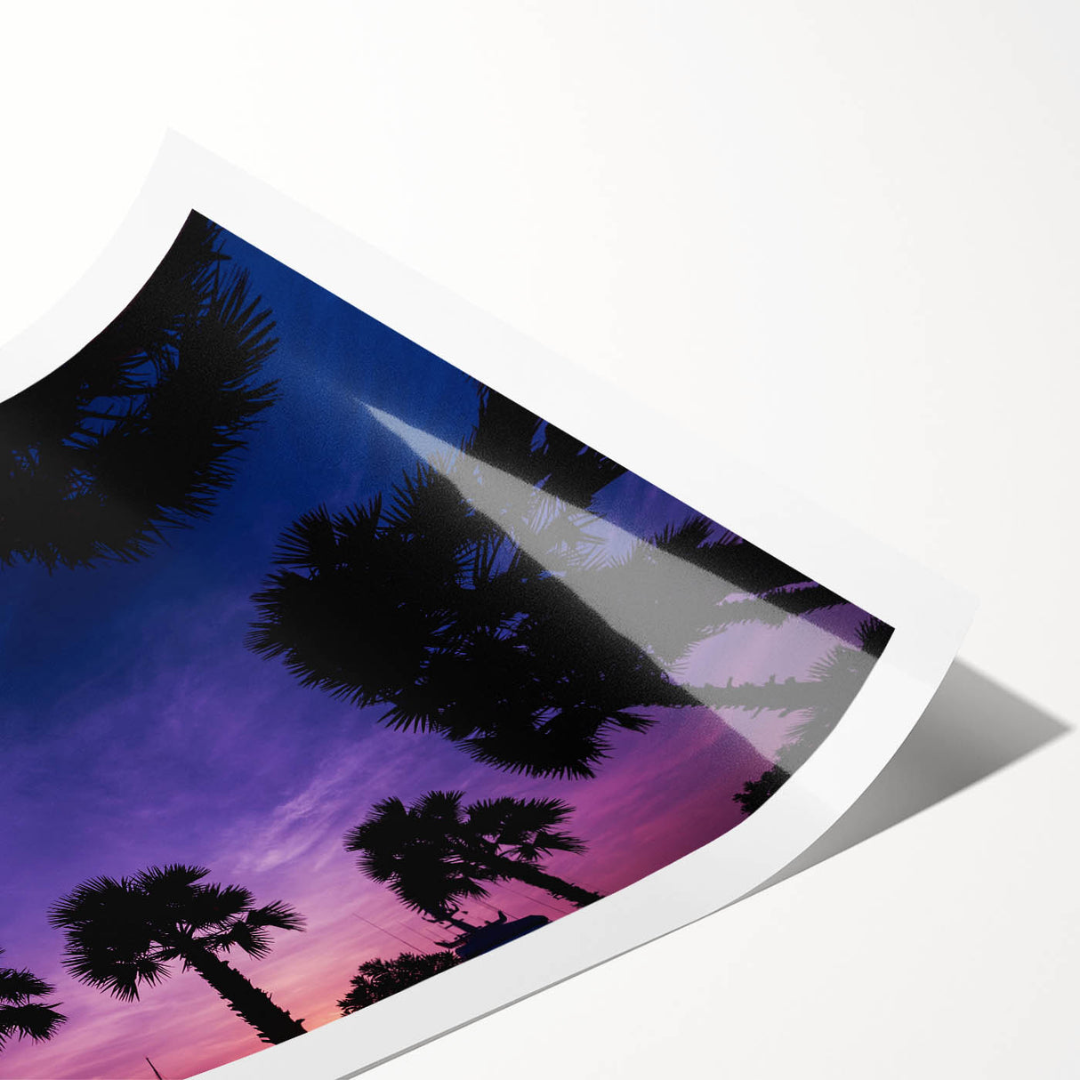 Extra large wall art featuring line art flowers on a rolled print, set against a muted Caribbean scenery.