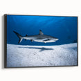 Black and white framed canvas depicting a serene Caribbean landscape, ideal for bedroom wall art.