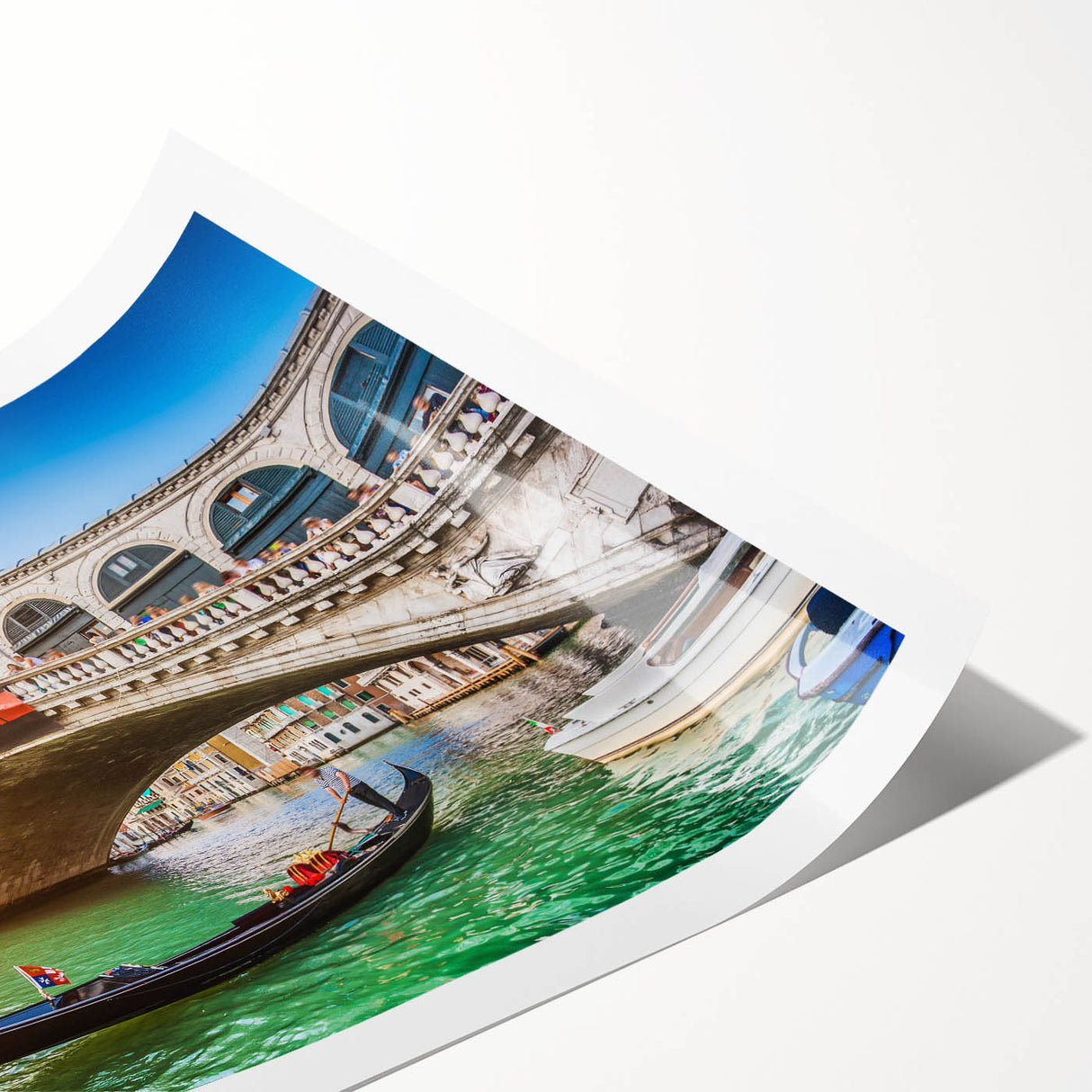Extra large wall art featuring line art flowers over a Venice scenery on rolled print, suited for large living room decor.