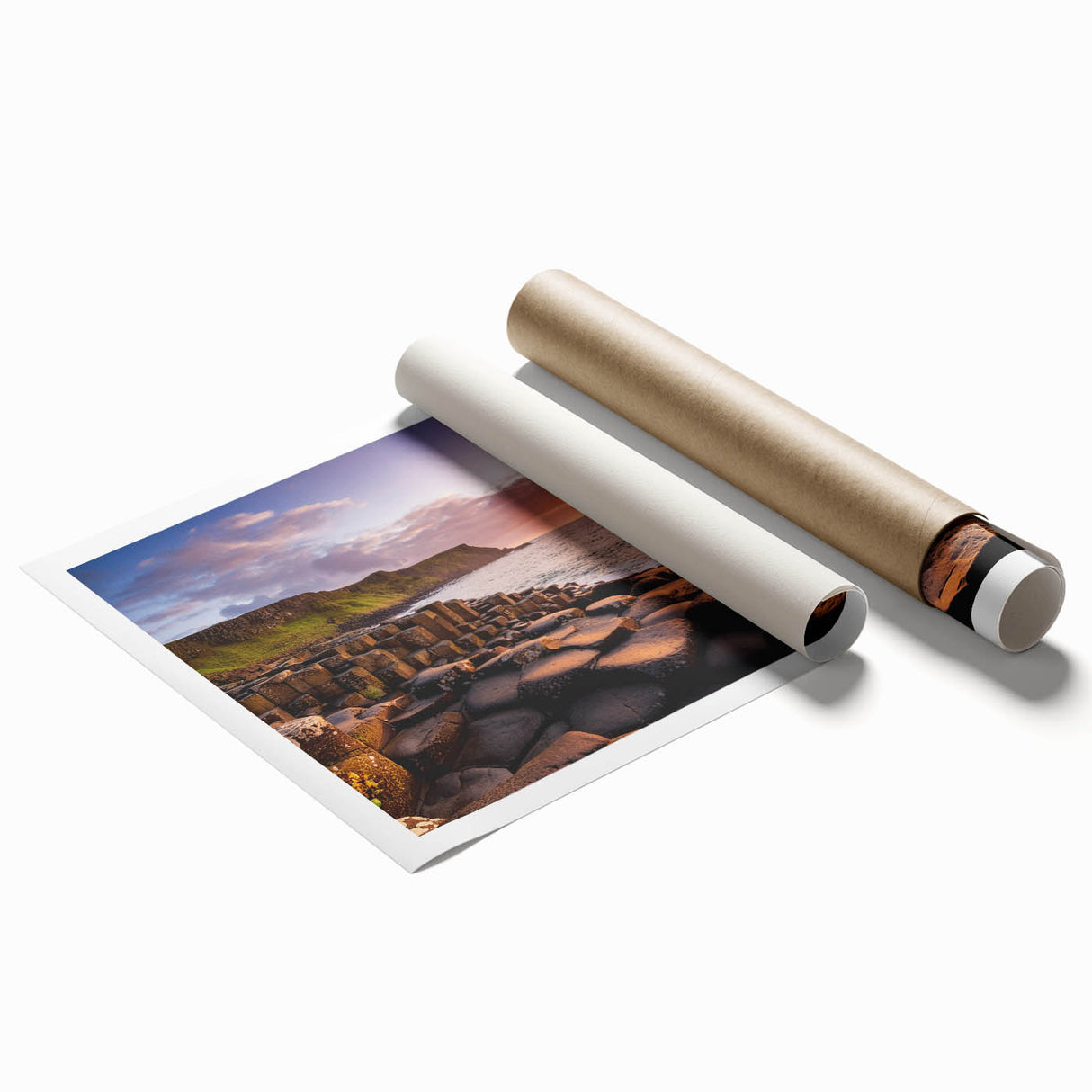 Extra large rolled print of floral art featuring Northern Ireland scenery, suited for classy bathroom or large living room.