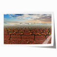 Extra large rolled print of Valencia scenery with vibrant floral elements, ideal for art wall dining room.