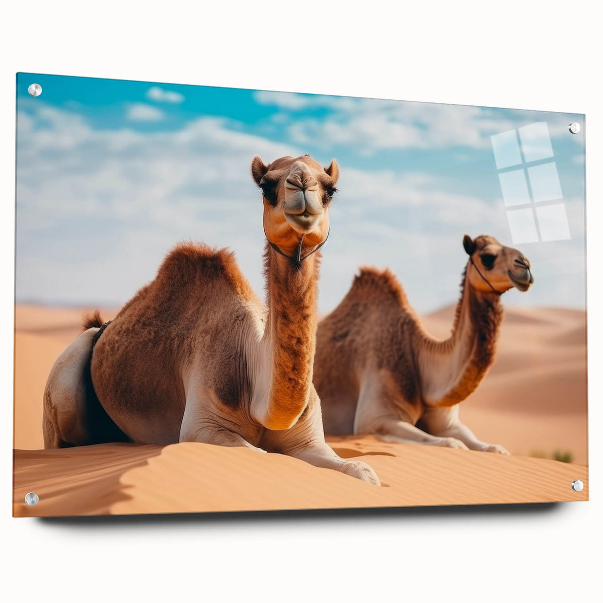 Acrylic print of a Middle Eastern landscape in muted earth tones, ideal for bedroom or dining room decor.