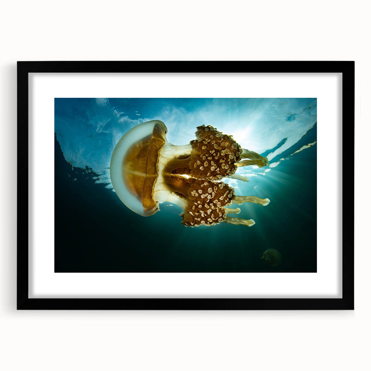 Extra large abstract art print featuring vibrant, colorful textures on a black framed canvas, ideal for living room decor.