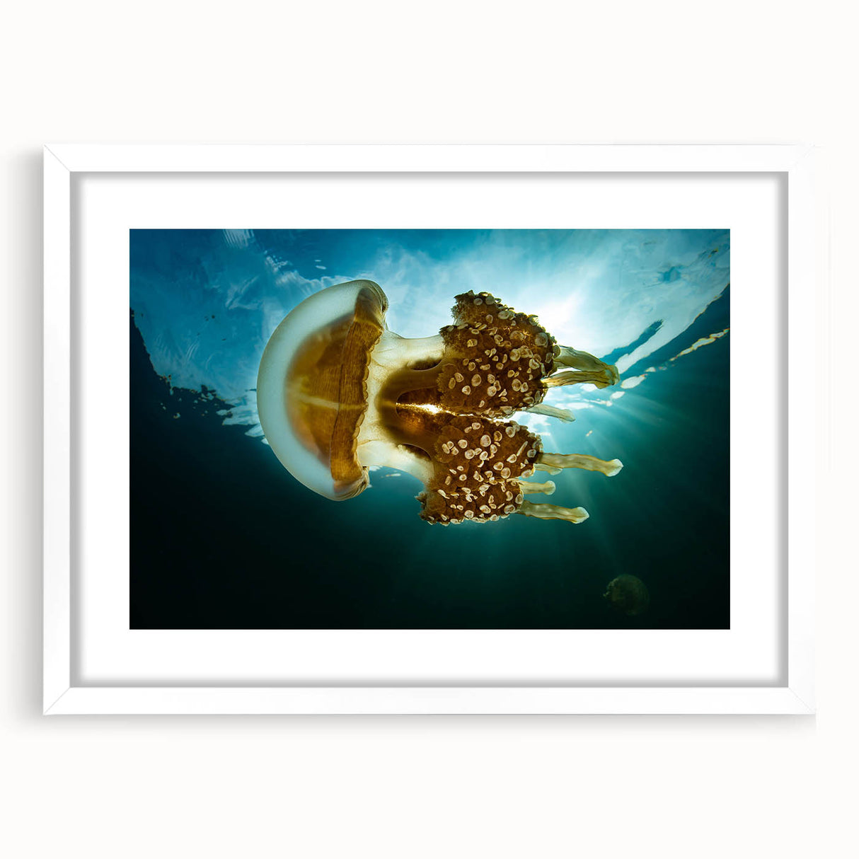 Abstract art print of Micronesian oceanic scenery in muted blue and green tones on a framed white mat.