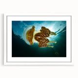 Abstract art print of Micronesian oceanic scenery in muted blue and green tones on a framed white mat.