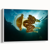 Vintage poster art of Micronesia on framed canvas, featuring colorful island imagery against a black background.