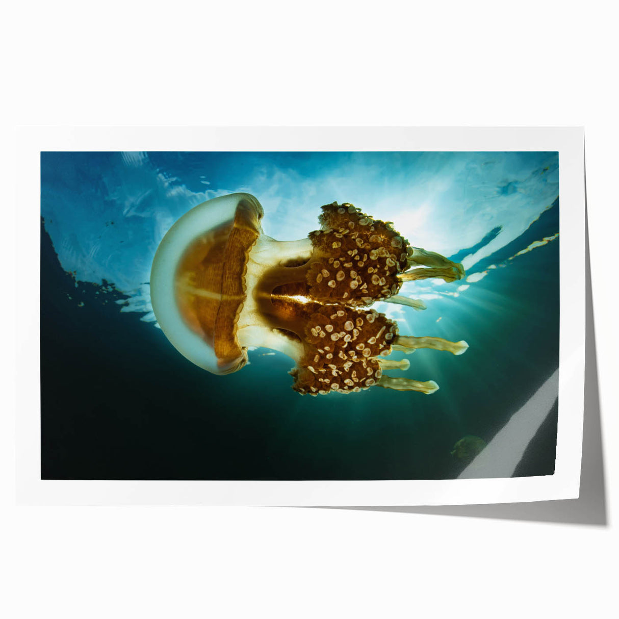 Extra large rolled print of Oceania scenery with vibrant blue ocean and floral elements, ideal for art wall dining room.