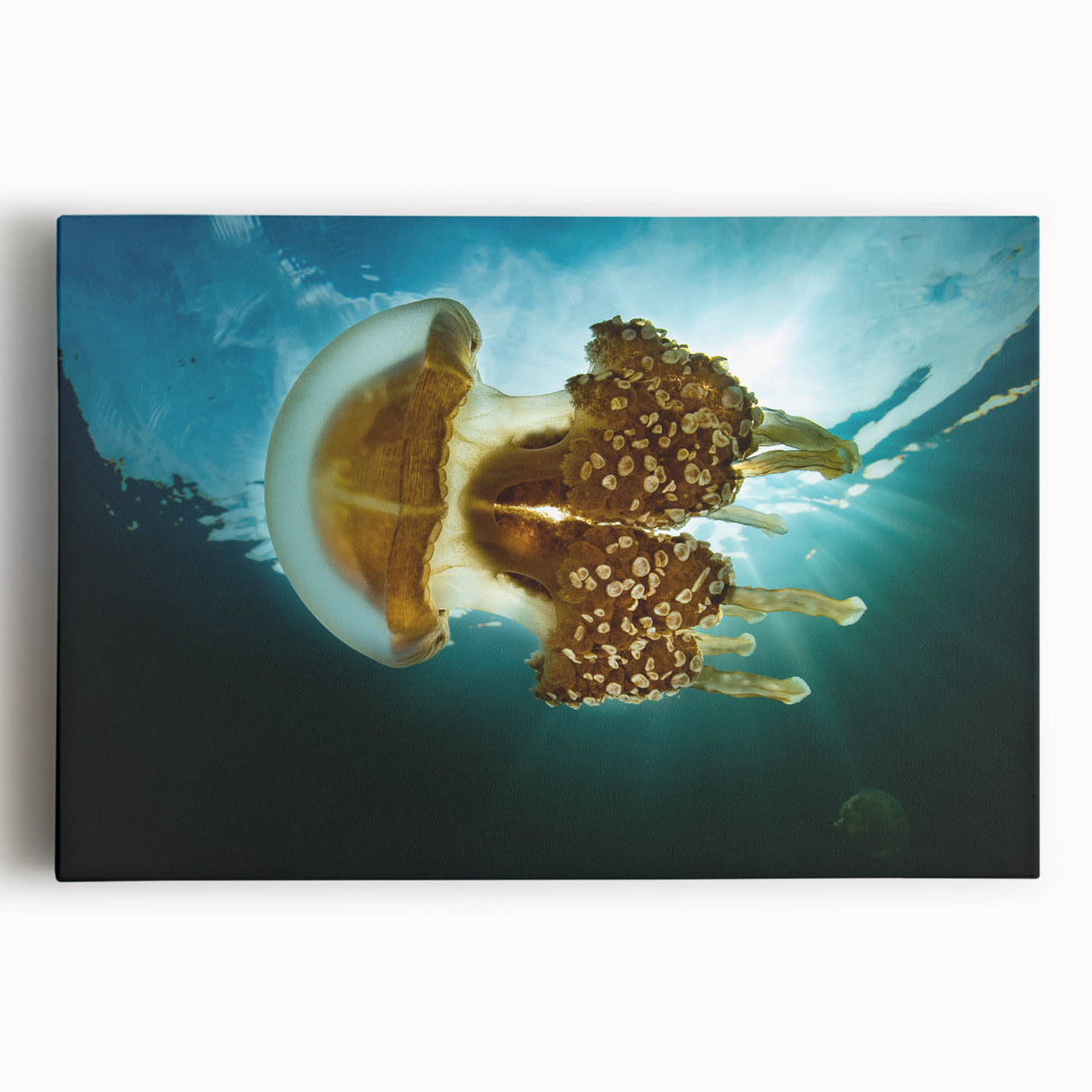 Black and white stretched canvas of a scenic Micronesian coastline, ideal for kitchen wall art.