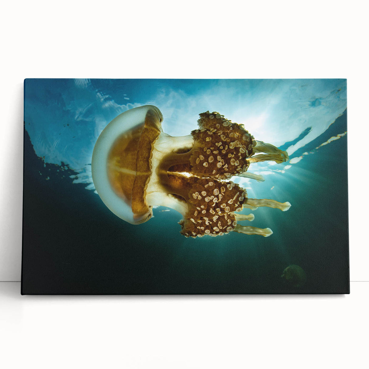 Black and white stretched canvas of a Micronesian scenery, ideal for kitchen wall art or bedroom ambiance.