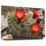 Large acrylic print of the Grand Canyon in natural hues, ideal for bedroom or dining room decor.