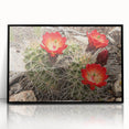 Large abstract wall art of the Grand Canyon in muted earth tones, framed in black acrylic.