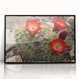 Large abstract wall art of the Grand Canyon in muted earth tones, framed in black acrylic.