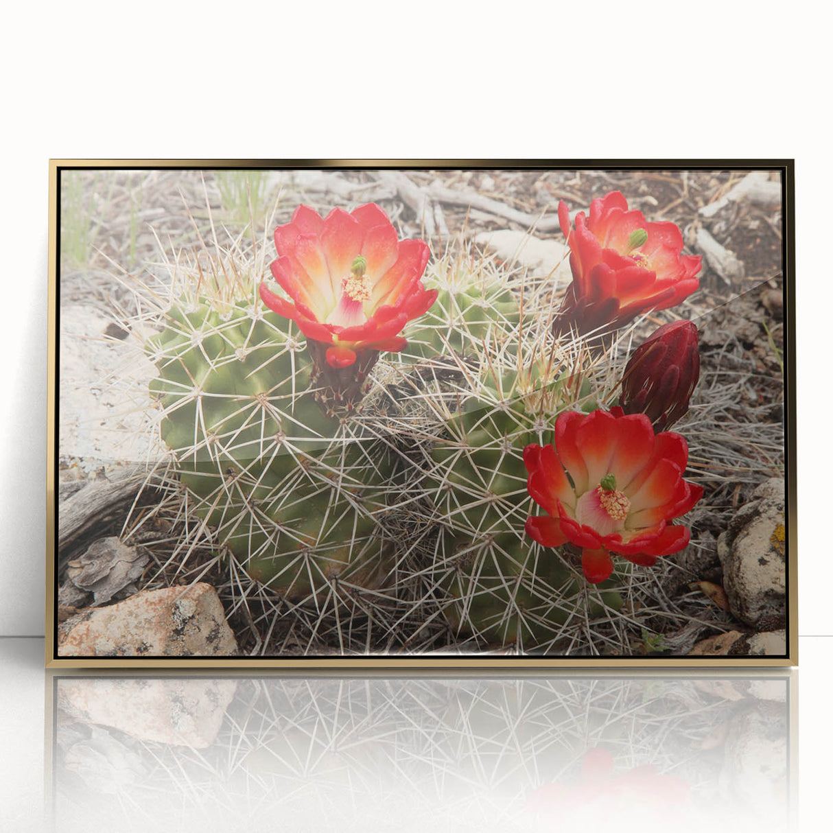 Large art print of the Grand Canyon in vibrant earth tones, framed acrylic, ideal for modern art wall decor.