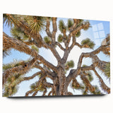 Acrylic print of Joshua Tree in muted earth tones, ideal for bedroom or dining room decor.