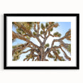 Extra large colorful art print of abstract Joshua Tree scenery, framed in black, ideal for living room decor.