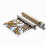 Joshua Tree landscape on rolled print, featuring muted earth tones, ideal for classy bathroom wall art.