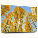 Large abstract wall art of Aspen scenery in muted earth tones on acrylic glass, ideal for bedroom or dining room decor.