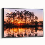 Black and white framed canvas of the Everglades landscape, ideal for bedroom wall art, in a vintage poster style.