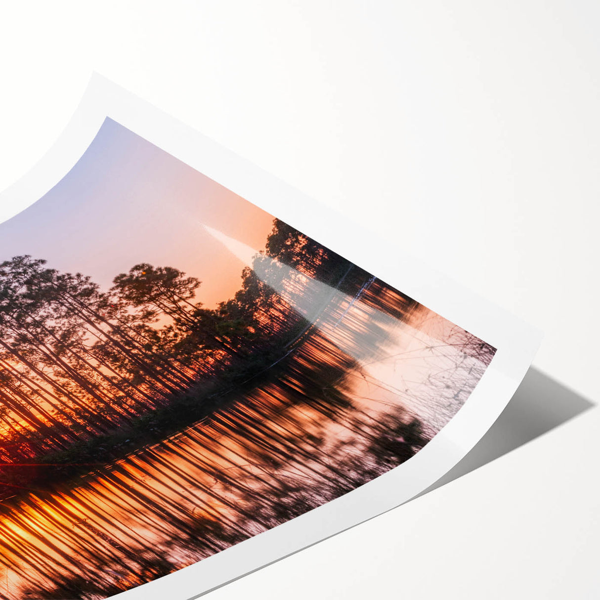 Extra large wall art featuring a line art drawing of Everglades scenery with floral elements in monochrome.