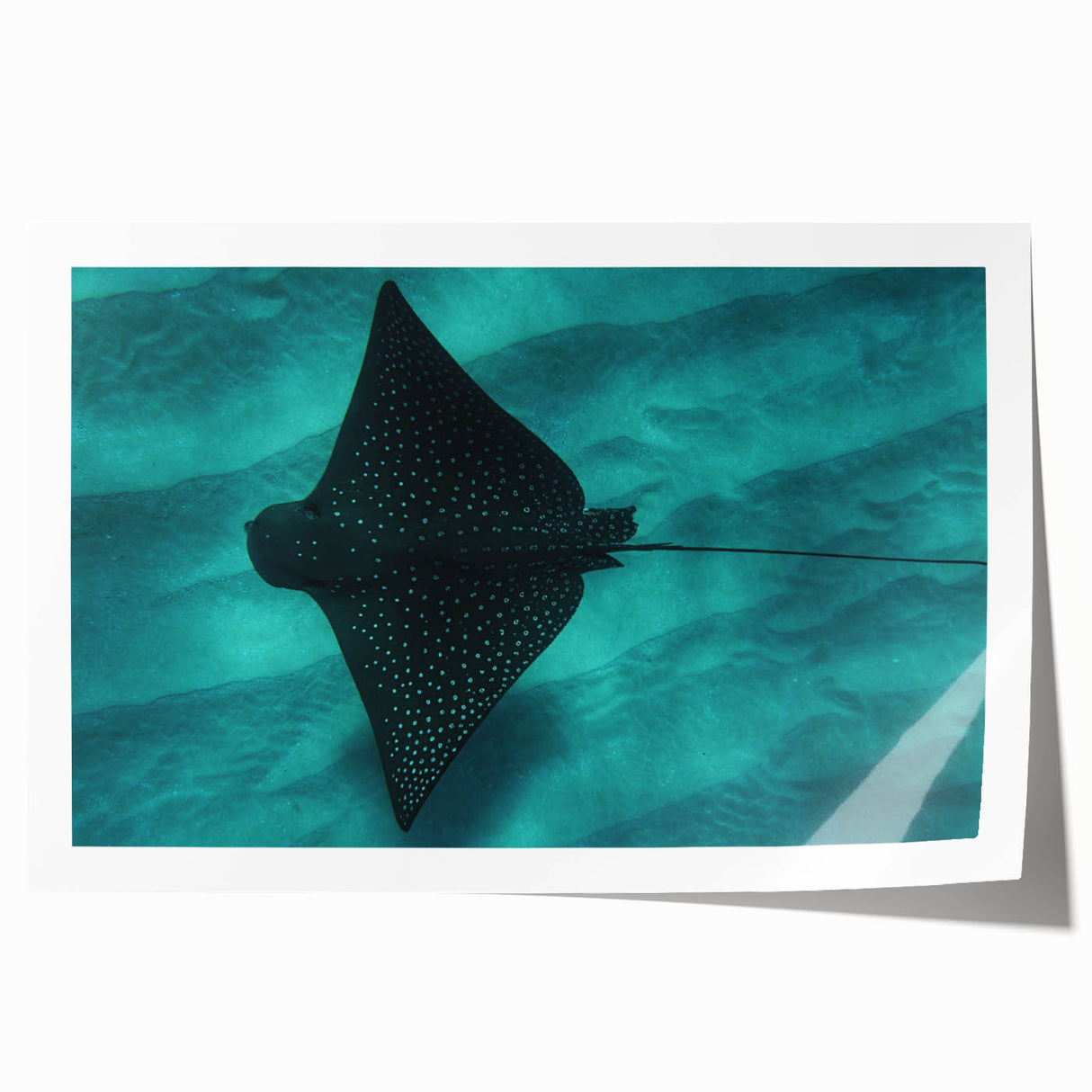 Rolled print of Oahu, Hawaii scenery, featuring lush greenery and soft blue skies, ideal for art wall dining room.