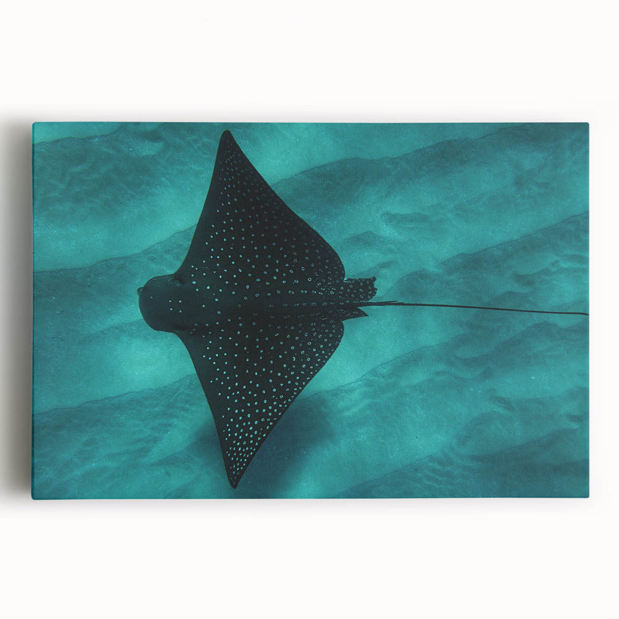 Black and white photo of Oahu, Hawaii on stretched canvas, ideal for kitchen wall art.