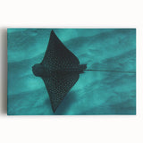 Black and white photo of Oahu, Hawaii on stretched canvas, ideal for kitchen wall art.