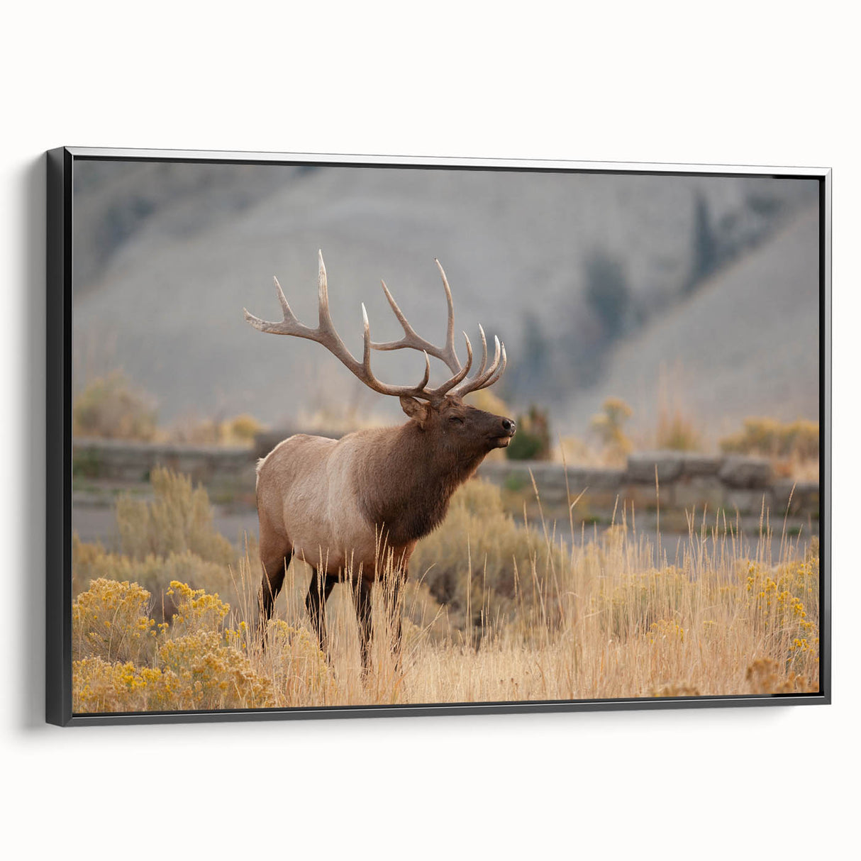 Framed canvas featuring a black and white vintage landscape of Idaho, ideal for bedroom wall decor.