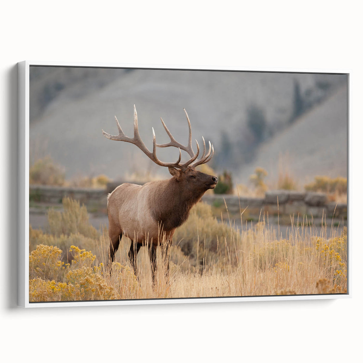 Vintage poster art of Idaho scenery on a framed canvas, featuring colorful artwork against a black background.