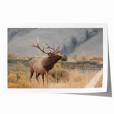Idaho scenery wall art featuring soft pastel floral designs on a rolled print, ideal for dining room decor.