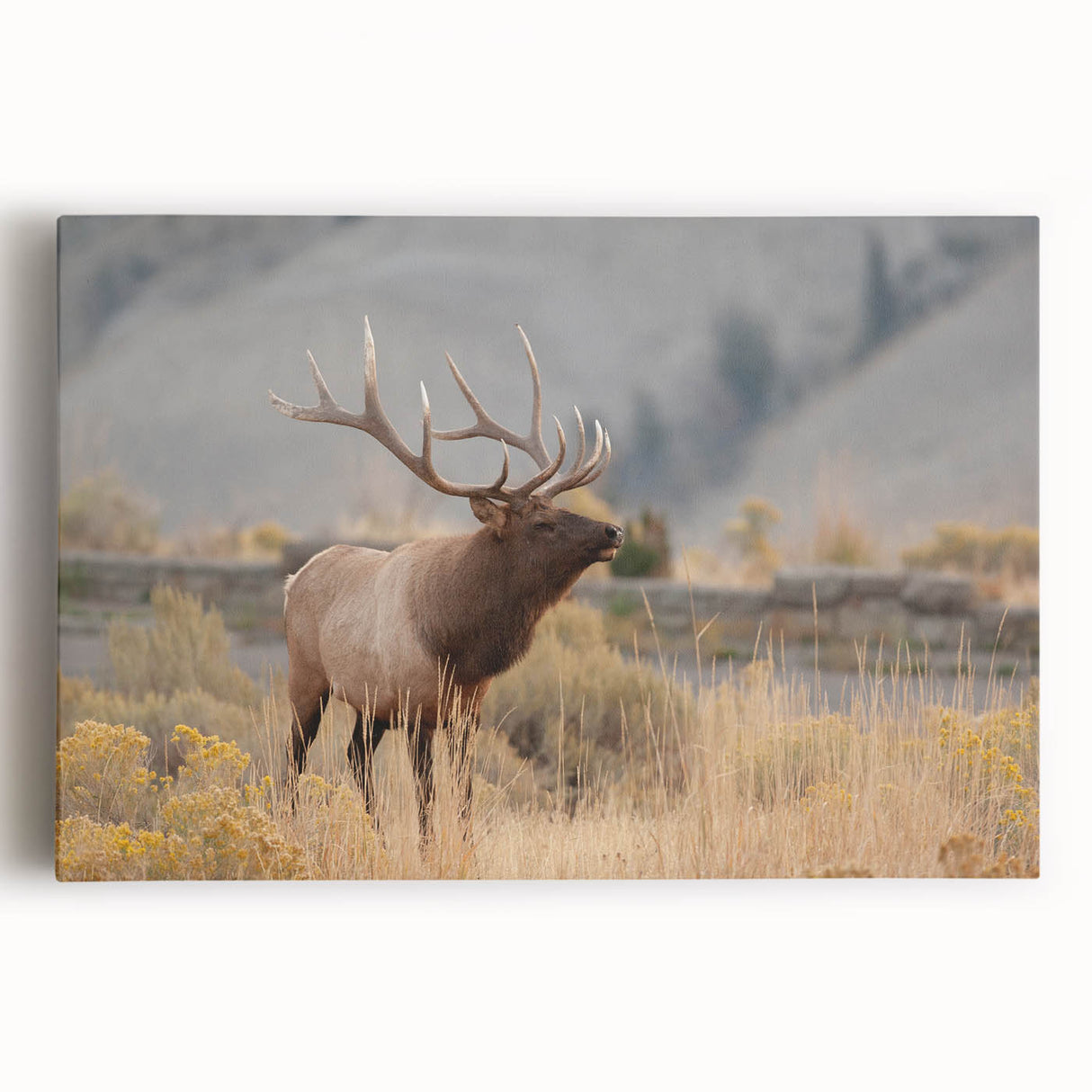 Black and white stretched canvas featuring a serene Idaho landscape, ideal for kitchen wall art.