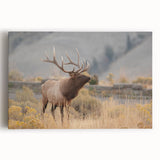 Black and white stretched canvas featuring a serene Idaho landscape, ideal for kitchen wall art.