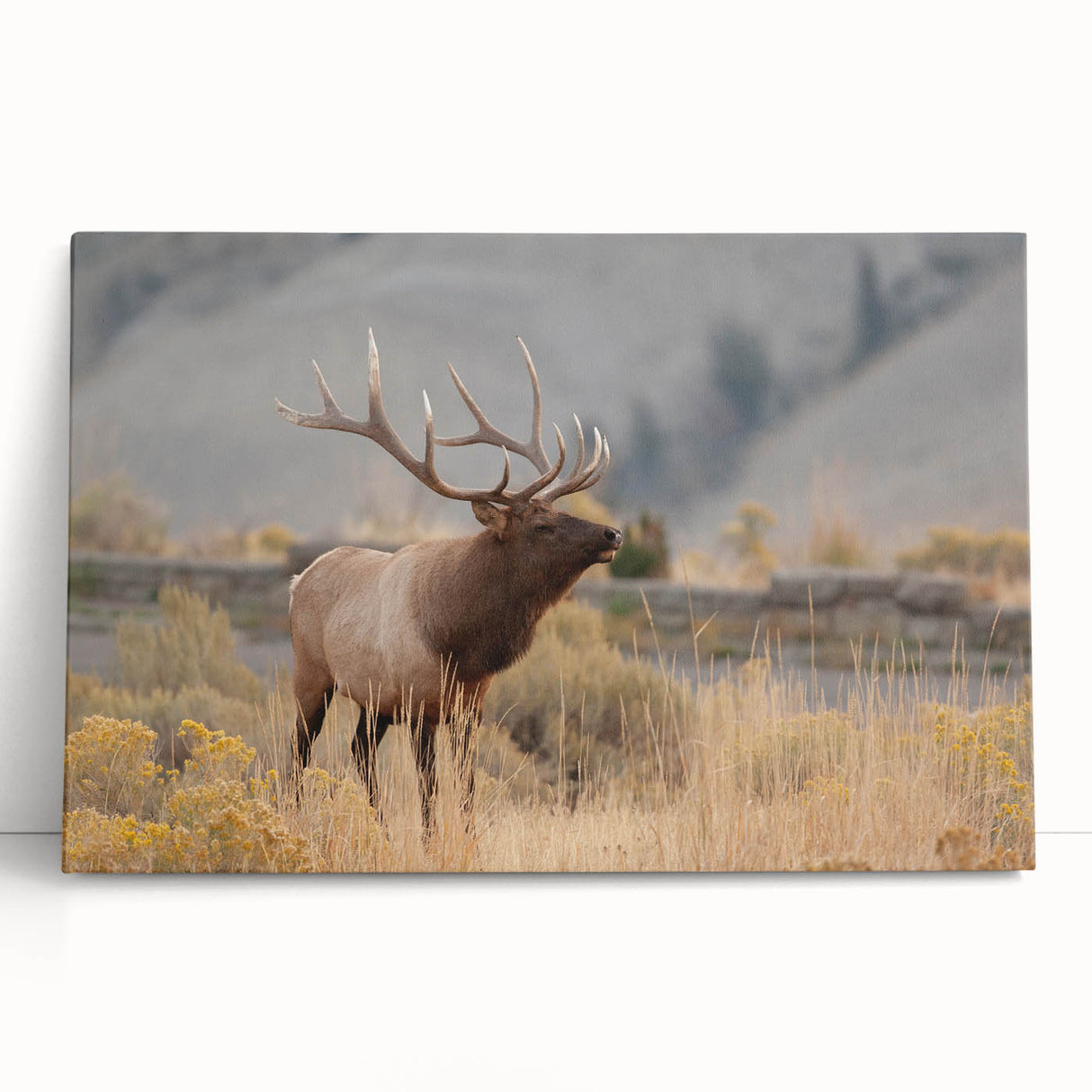 Large black and white photo of Idaho scenery on stretched canvas, ideal for kitchen wall art or bedroom decor.