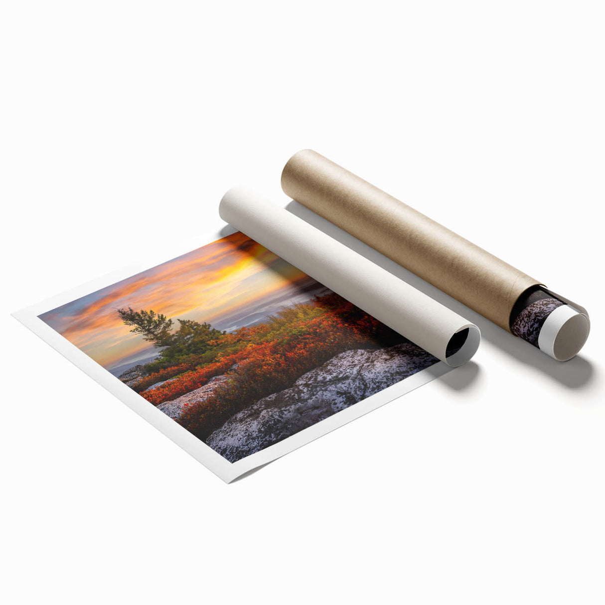Extra large rolled print of a serene Kentucky landscape with soft floral elements, in muted green and blue tones.